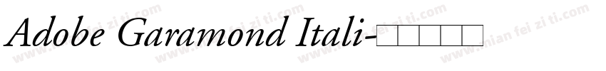 Adobe Garamond Itali字体转换